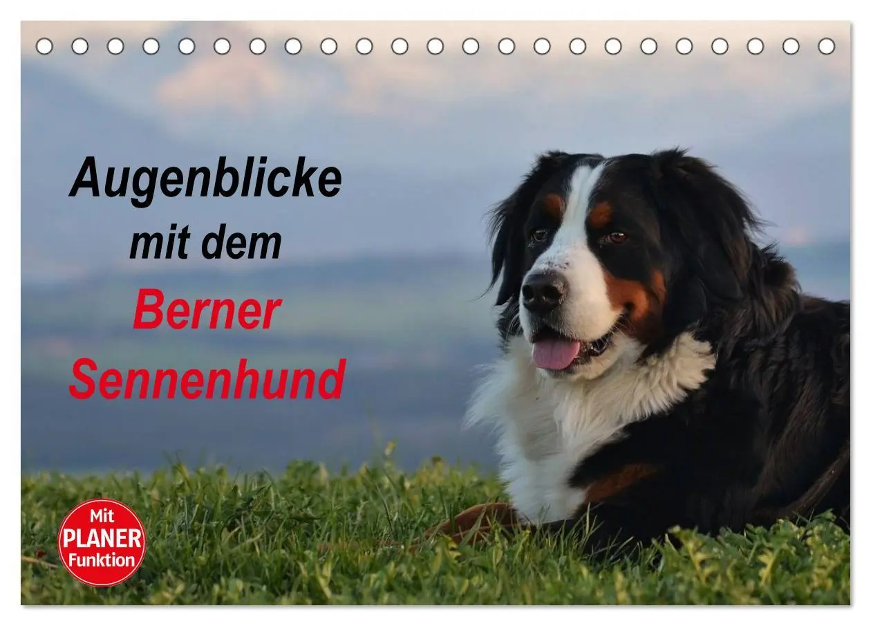 Cover: 9783516011524 | Augenblicke mit dem Berner Sennenhund (Tischkalender 2026 DIN A5...